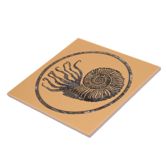 Ammonite Fossil Keramik Tile Fliese (Seite)