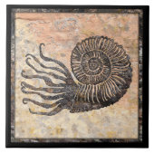Ammonite Fossil Keramik Tile Fliese (Vorderseite)