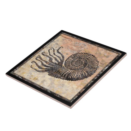 Ammonite Fossil Keramik Tile Fliese (Seite)
