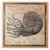 Ammonite Fossil Keramik Tile Fliese (Vorderseite)