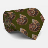 Ammonite Fossil Krawatte (Gerollt)