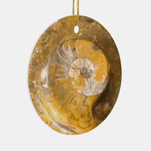 Ammonite Fossil Rock Nature Fotografy Keramik oder Ornament (Rechts)