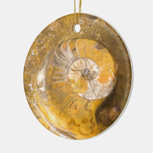 Ammonite Fossil Rock Nature Fotografy Keramik oder Ornament (Links)