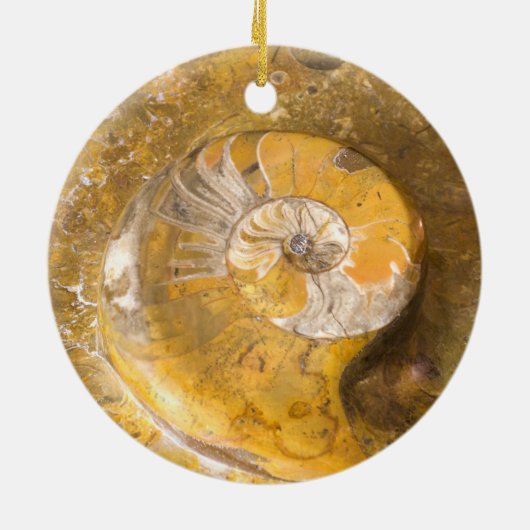 Ammonite Fossil Rock Nature Fotografy Keramik oder Ornament (Hinten)
