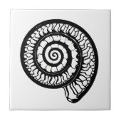 Ammonite Fossil - Spiral Seashell Fliese (Vorderseite)