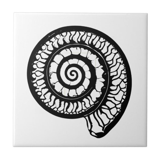 Ammonite Fossil - Spiral Seashell Fliese (Vorderseite)