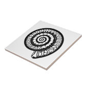 Ammonite Fossil - Spiral Seashell Fliese (Seite)