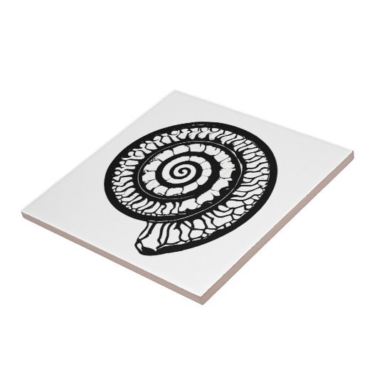Ammonite Fossil - Spiral Seashell Fliese (Seite)
