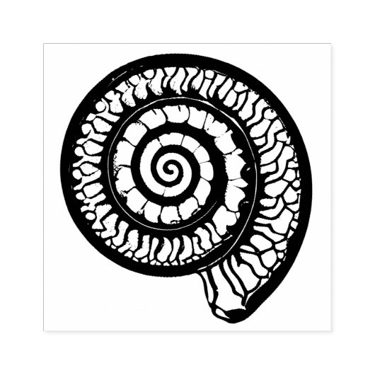 Ammonite Fossil - Spiral Seashell Gummistempel (Prägung)