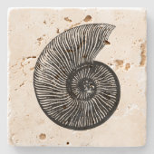Ammonite Fossil Steinuntersetzer (Vorderseite)
