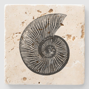 Ammonite Fossil Steinuntersetzer