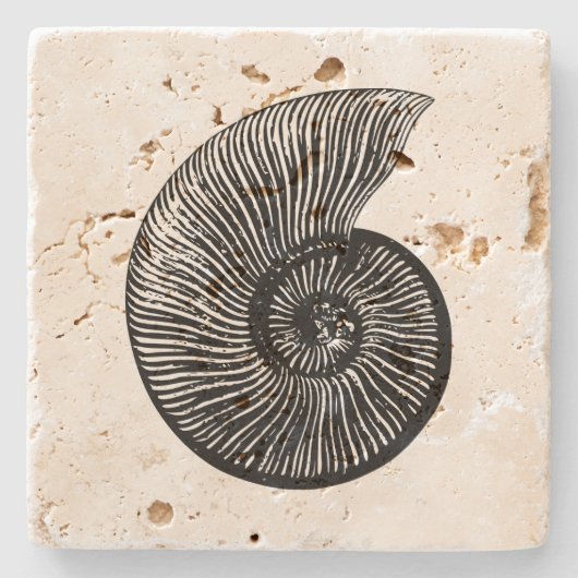 Ammonite Fossil Steinuntersetzer (Vorderseite)