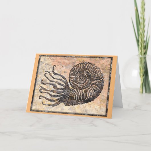Ammonite Fossil Talking Canyons, New Mexico Card Karte (Vorderseite)