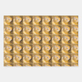 Ammonite Fossils Rock Nature Fotografy Pattern Geschenkpapier Set (Vorderseite 3)