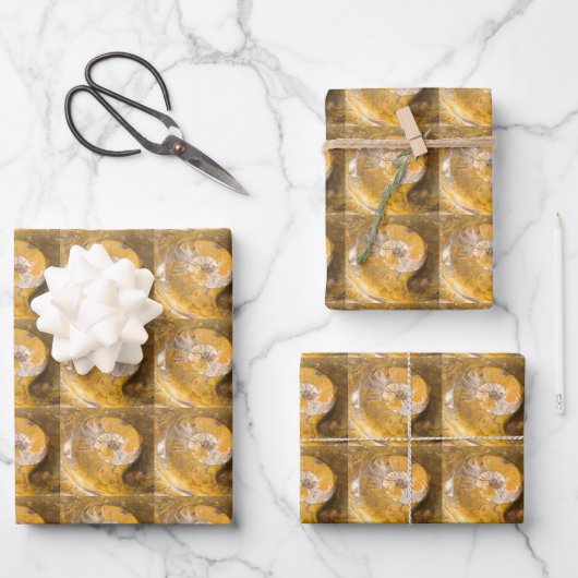 Ammonite Fossils Rock Nature Fotografy Pattern Geschenkpapier Set (Vorderseite)