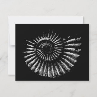 Ammonite White auf der Schwarzen Flat Holiday Card Feiertagskarte