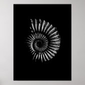 Ammonite White über Black Poster (Vorne)