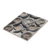 Ammoniten auf Felsen-Foto Fliese (Seite)