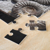 Ammoniten auf Felsen-Foto Puzzle (Seite)
