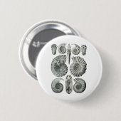 Ammoniten Button (Vorne & Hinten)
