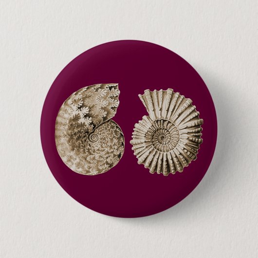 Ammoniten Button (Vorderseite)