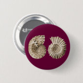 Ammoniten Button (Vorne & Hinten)