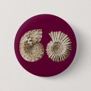 Ammoniten Button