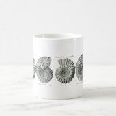 Ammoniten Kaffeetasse (Mittel)