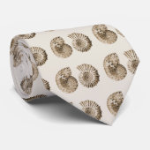 Ammoniten Krawatte (Gerollt)
