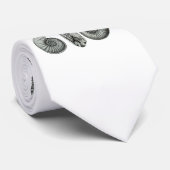 Ammoniten Krawatte (Gerollt)