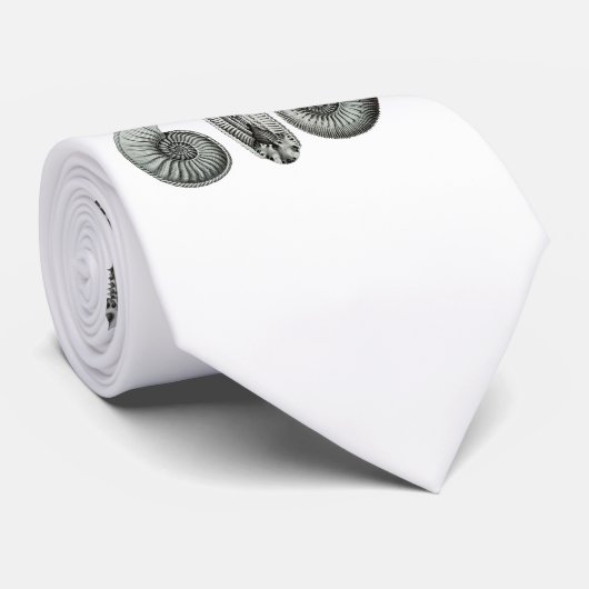 Ammoniten Krawatte (Gerollt)