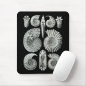 Ammoniten Mousepad (Mit Mouse)