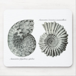Ammoniten Mousepad