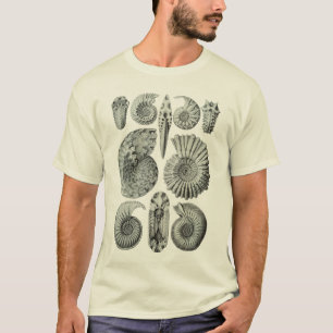 Ammoniten T-Shirt