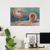 Ammonites Poster (Heimbüro)