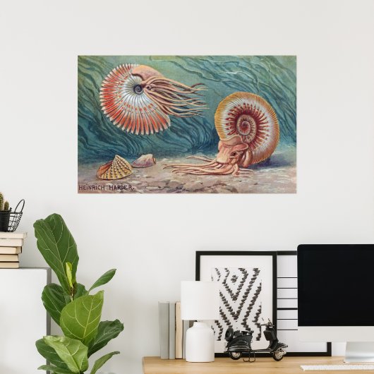 Ammonites Poster (Heimbüro)