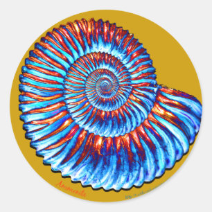 Ammonitfossil Runder Aufkleber