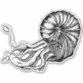 Ammonitkleber Aufkleber (Vorderseite)