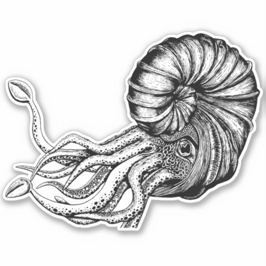 Ammonitkleber Aufkleber (Vorderseite)