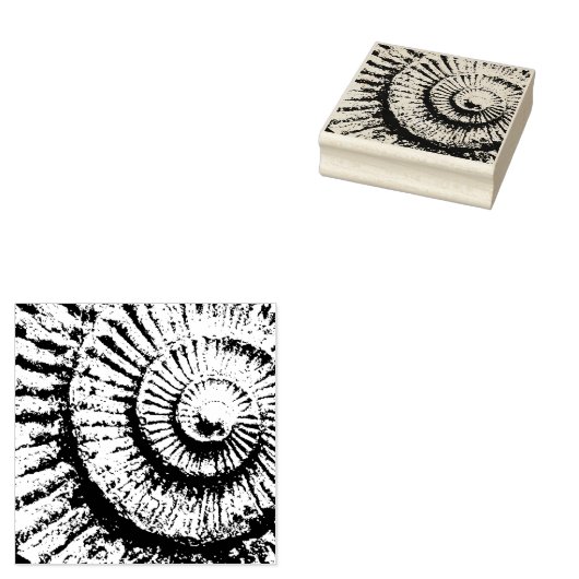 Ammonitstruktur Gummistempel (Stempel)