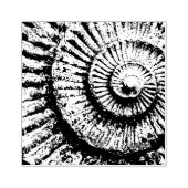 Ammonitstruktur Gummistempel (Prägung)