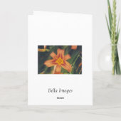 Amo - Karte (V-Tag) (Rückseite)