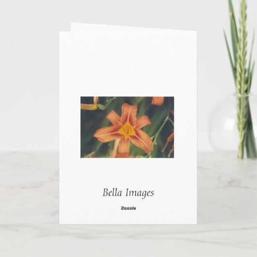 Amo - Karte (V-Tag) (Rückseite)