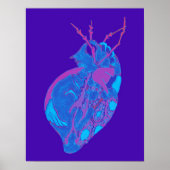 Amoeba Minx: Shockwave-Blues Poster (Vorne)