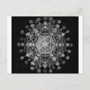 Amoeboid-Protozoen Postkarte