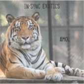 Amol - aufkleber (Vorderseite)