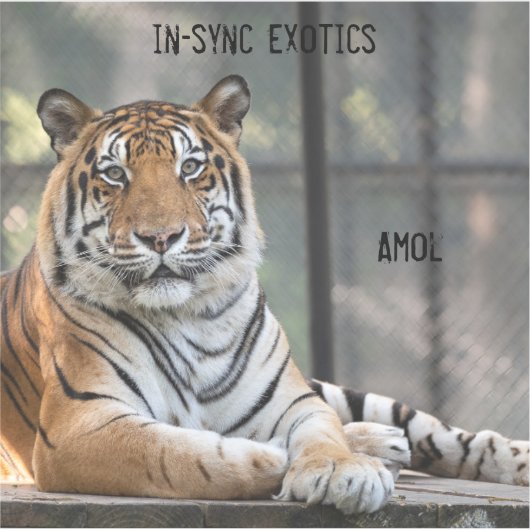 Amol - aufkleber (Vorderseite)