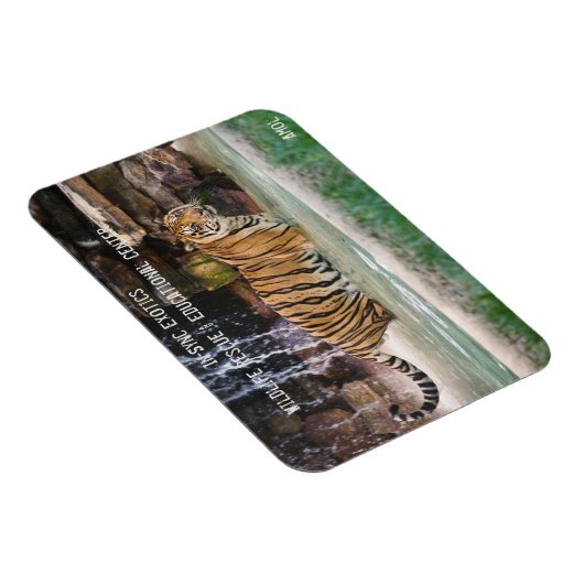 Amol - magnet (Rechte Seite)