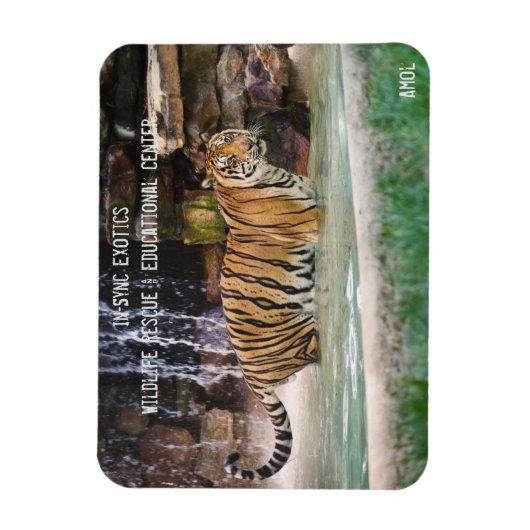 Amol - magnet (Vertikal)