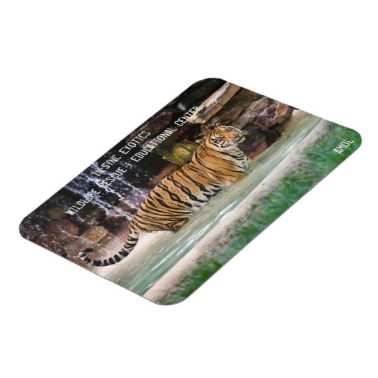 Amol - magnet (Linke Seite)